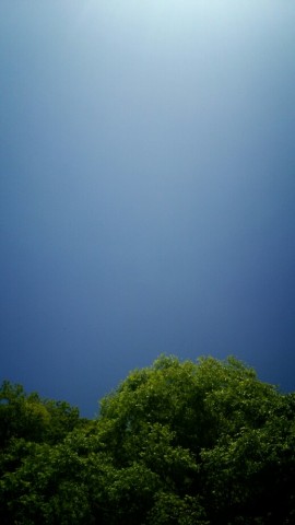 hjxznfpj9jifxsz6duke_518_920-73bb5ef4.jpg