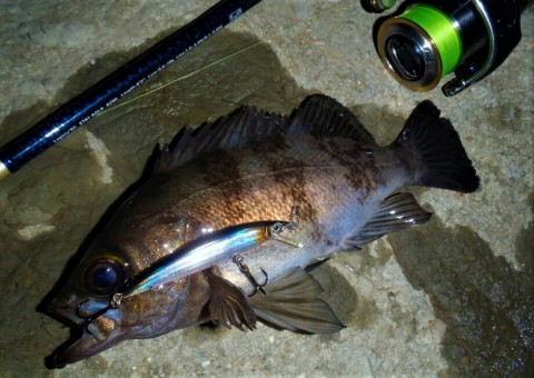hk5wjib45om5dmw2idmn_920_652-c8dd43e4.jpg