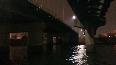 hk9vjcz24g2u5c24orf5_480_480-304ff924.jpg