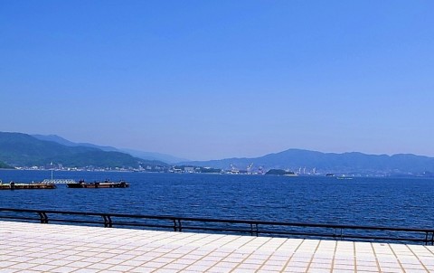 hkbwyco2fefw7nr7rx5c_480_480-50f72513.jpg