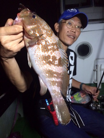 hkcmx9sf8n4zpo2sxoxg_480_480-23167e47.jpg