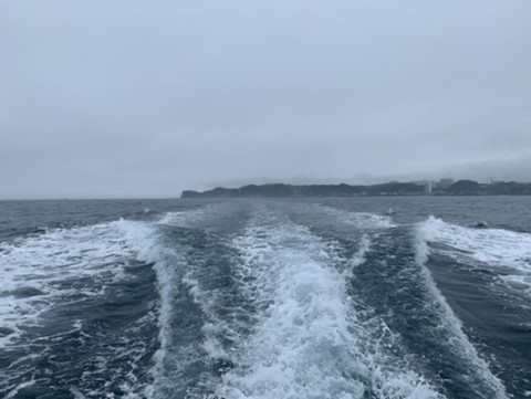 hkpusbdjur434rsw4bwe_480_361-0261df18.jpg