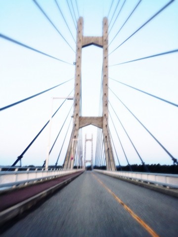 hkvyssgwdy9fa8a6jpst_480_480-5e571c5f.jpg
