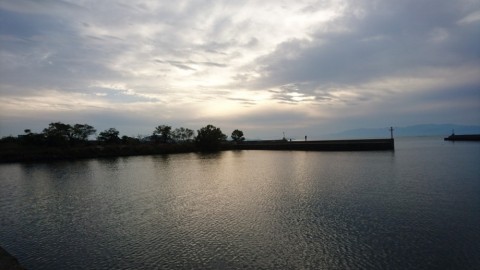 hm2gzmwcdjsjknnbsc8e_480_480-084156d4.jpg