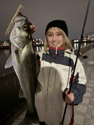 hm38xsi2guazojksxbwt_480_480-4785b318.jpg