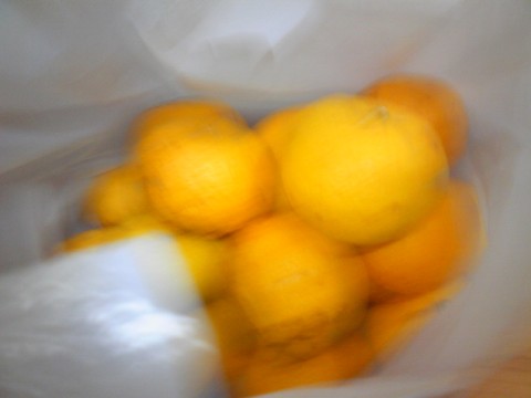 hm43ehnix9uuvsswf797_480_480-d08cd6df.jpg