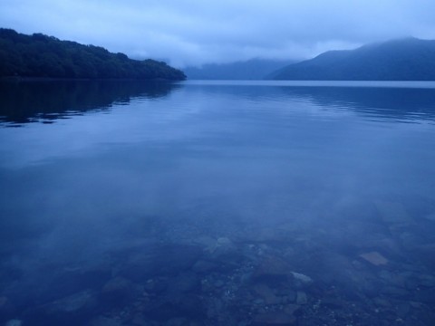 hm8ihai376y42oe36gn8_480_480-709f13c8.jpg