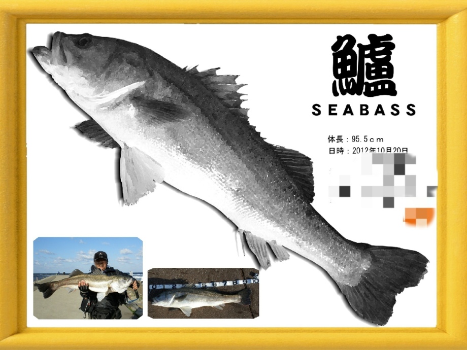 どっぷり Seabass デジタル魚拓