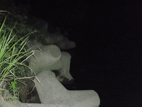 hn2zp25orf32tjhout7d_480_480-3d5a7019.jpg
