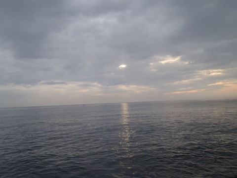 hn9eec6zp866prnvuky6_480_480-6c98b641.jpg
