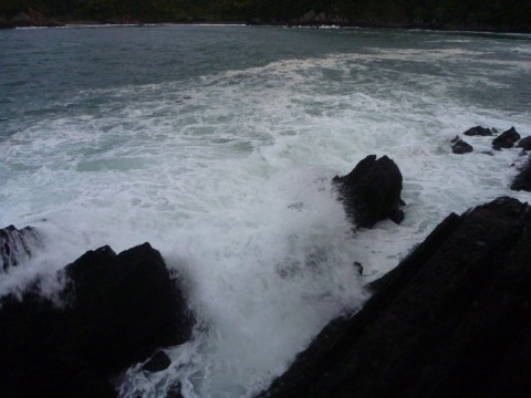 hnizrj7xo6rog9bd4p7r_480_480-d791af4e.jpg