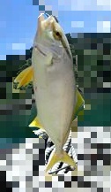 ho435uuzp3j3kmnz2i36-4a2e371d.jpg