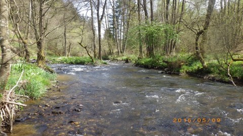 hocre4j2pkjsnerftv3k_480_480-fc594841.jpg