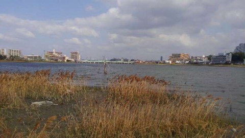 houxrsarakbnykank3xu_480_480-5270a419.jpg