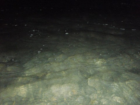 hpaodwn728taadai8ros_480_480-096969e6.jpg