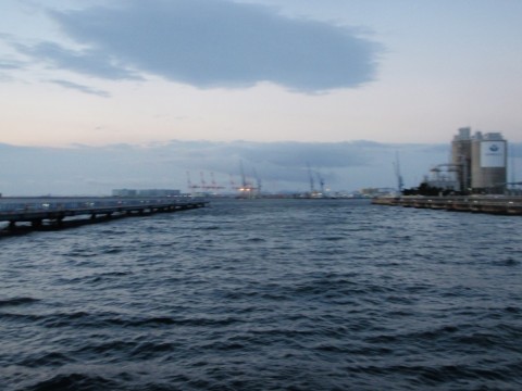 hpgzcyueawphmmxgmig6_480_480-8530c206.jpg