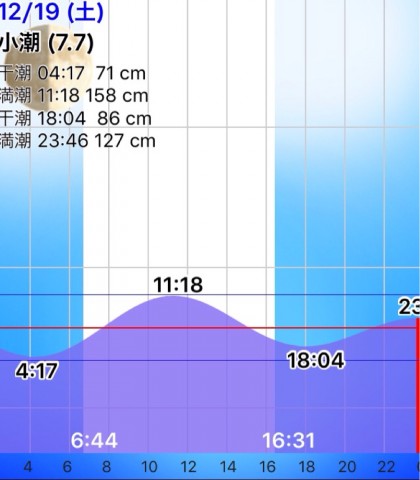 hpt8ehmbt94tkkb7dr8b_805_920-10f65748.jpg