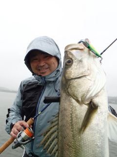 hr98a2n2u6vnfigz88gd-35074170.jpg
