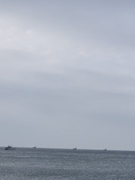 hr9uwniu2ttfcpnr88yo_361_480-d4784fcf.jpg