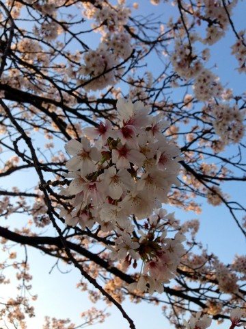 hrai2hgdwci3d6ss89yn_690_920-440f1540.jpg