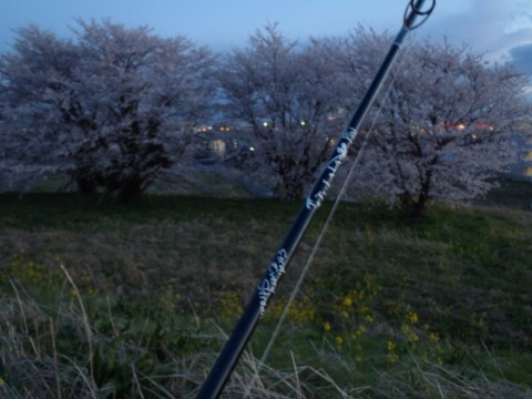 hrcescgkyakkm6zxu93z_480_480-94a915a0.jpg