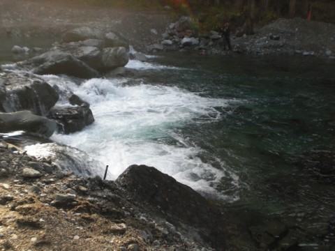 hrerdwnh2udayvj8dv5v_480_480-da9e0aaa.jpg