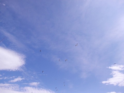 hrezfhx556ycb3w6m5an_920_690-807f84e2.jpg