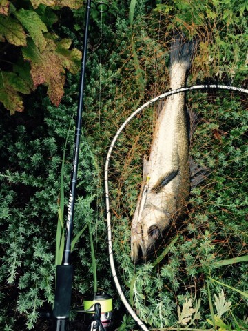 hrf5sahojsfwxtyx9phb_690_920-49d6f71e.jpg