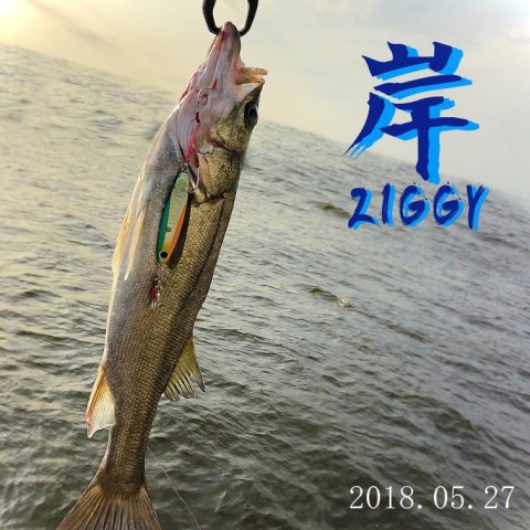 hrgehnkic3miobxsb8my_480_480-b59bba9d.jpg
