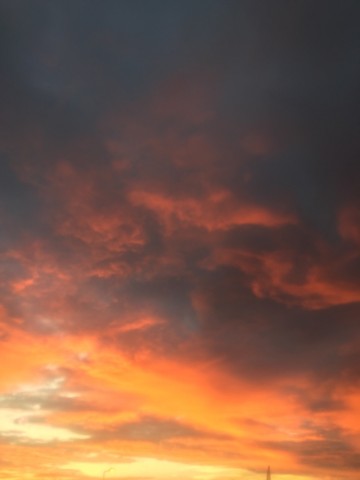 hried9rcmz2df8hrvrru_690_920-dddb7f59.jpg