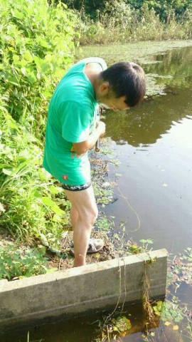 hs4ryi5gkkt2j9ou7vjw_360_640-d9033195.jpg
