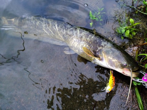 hs9sta92munheat3nv5k_920_690-3559606f.jpg