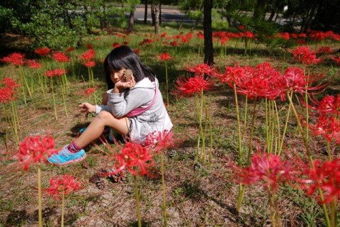 hsanE4ML4sCAwz7O768d_480_480-8a855342.jpg