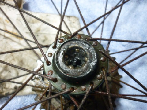 hsek2hp6wp4hbdbfvtgz_480_480-5581711e.jpg