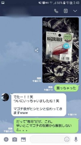 hstif95uueghxdrmt69h_480_480-d07e79a7.jpg