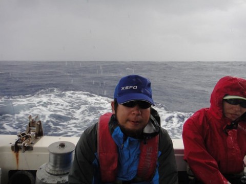hsysrpehpof899diopp8_480_480-204be165.jpg