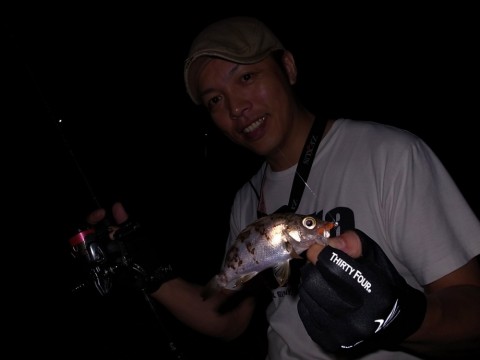 htjekr4n3ompx8wktbhn_480_480-b0dc8591.jpg