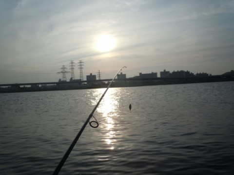 htn7baiodgmmo22hdtj2_480_480-14177f59.jpg