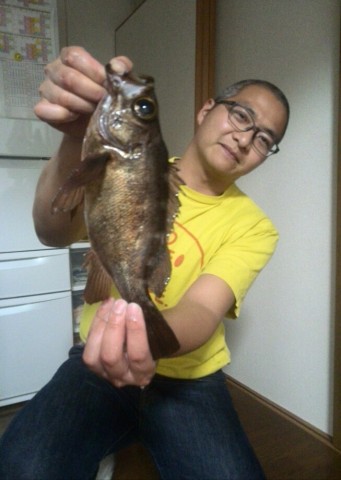 htwhtcaiw28cut3z2dt9_653_920-38e873ce.jpg