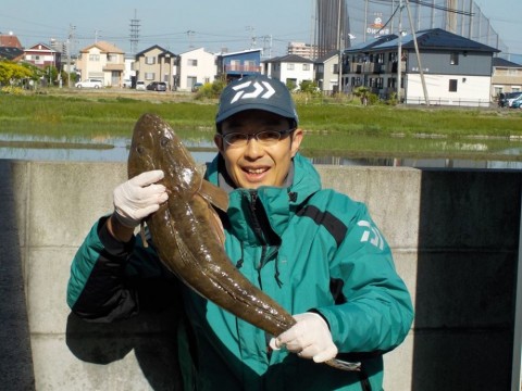 hua4xabxomk3cb65a65o_480_480-e2b1f28f.jpg