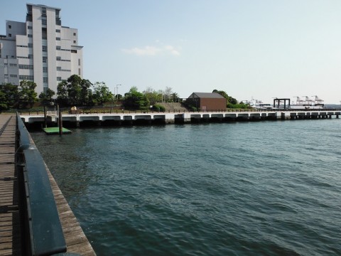 huaxobdgnpczgp5rmo7m_480_480-cc37813c.jpg