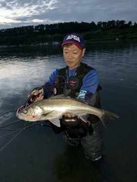 hust3czuscbeng2m6etk_361_480-f2f286a0.jpg