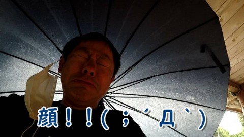 huujineegm5vdetu6d9f_480_480-e25873b5.jpg