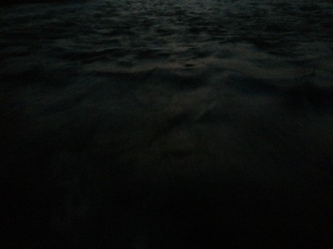 huuofnsene9ck3fhda6u_480_480-e6097593.jpg