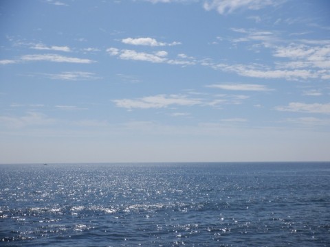 huuwjasv8u2458ix3kse_480_480-56d4556d.jpg