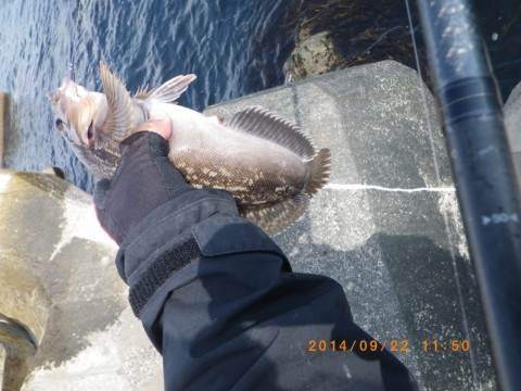 hvp2udeukt4mvaeaw8wr_920_690-7f162222.jpg