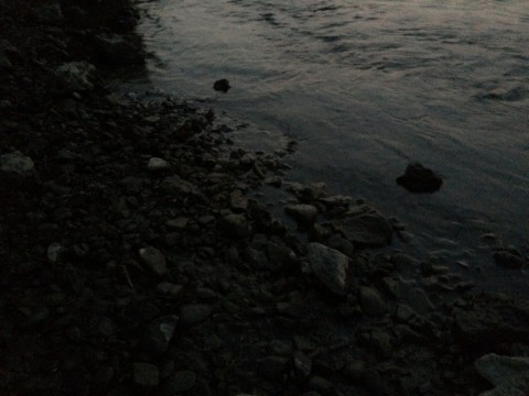 hvwbj3m9cfcwvrseki33_480_480-d4553a7e.jpg
