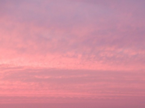 hw3j6khyimjrmgunksn7_480_480-10a9806c.jpg