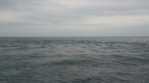 hw3p3yta7xncs3nuk7dv_480_480-a80ce96f.jpg