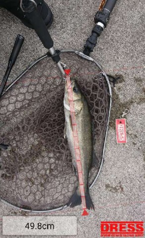 hw82xb25xnaafycdsw7u_480_480-05ef9f6d.jpg